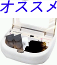 �_�C�G�b�g�}�V�[��